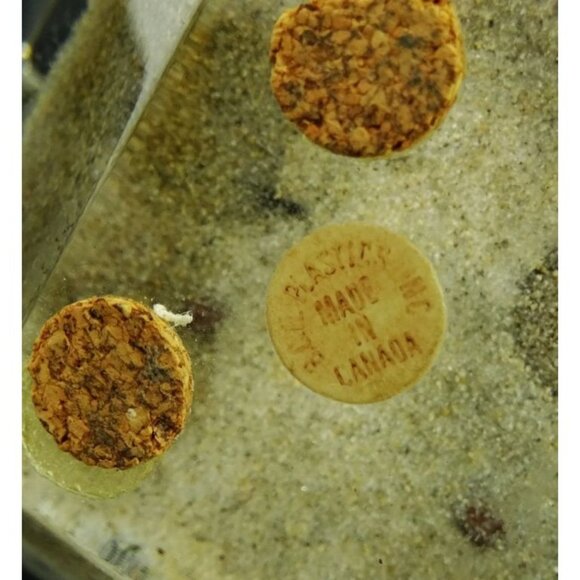 Vintage Canadian Lucite Prism Paperweight Diorama Moose Wildlife Scene - Picture 6 of 10